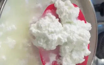 Milk to Paneer Recipe