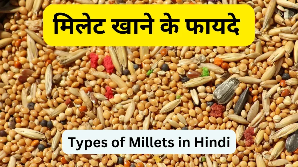 Types of Millets in Hindi