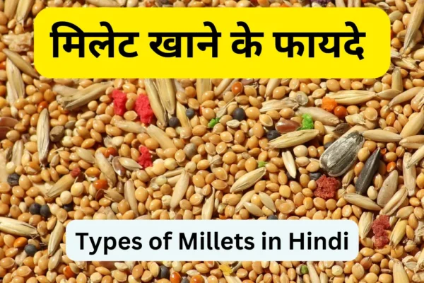 Types of Millets in Hindi