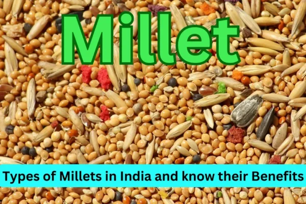 Different types of millets in India and know their benefits