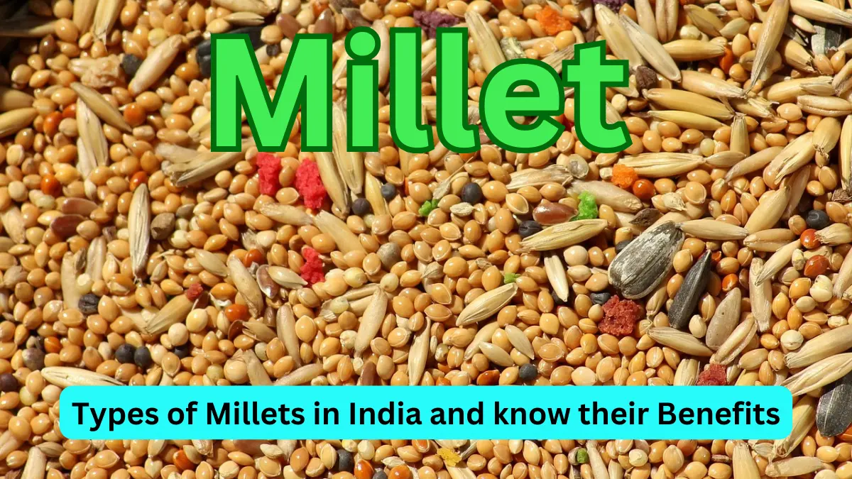 Different types of millets in India and know their benefits