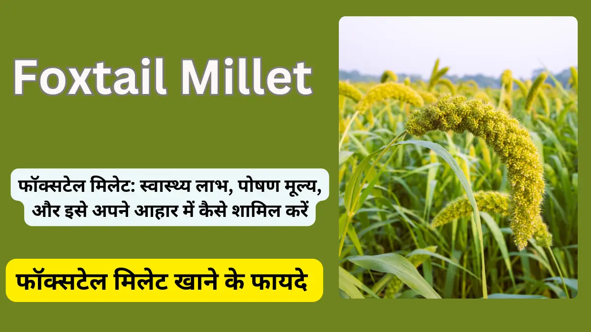 Foxtail Millet advantages in Hindi