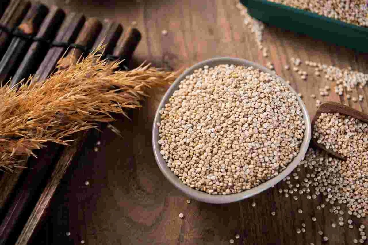 The Rise of Millets: A Superfood Revolution in Modern Diets