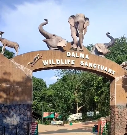 Dalma Wildlife Sanctuary jamshedpur 